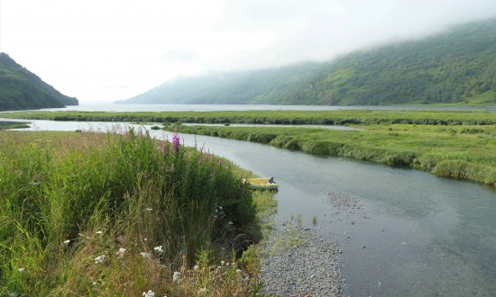 Estuaire du parc national de Katmai, territoire des ours